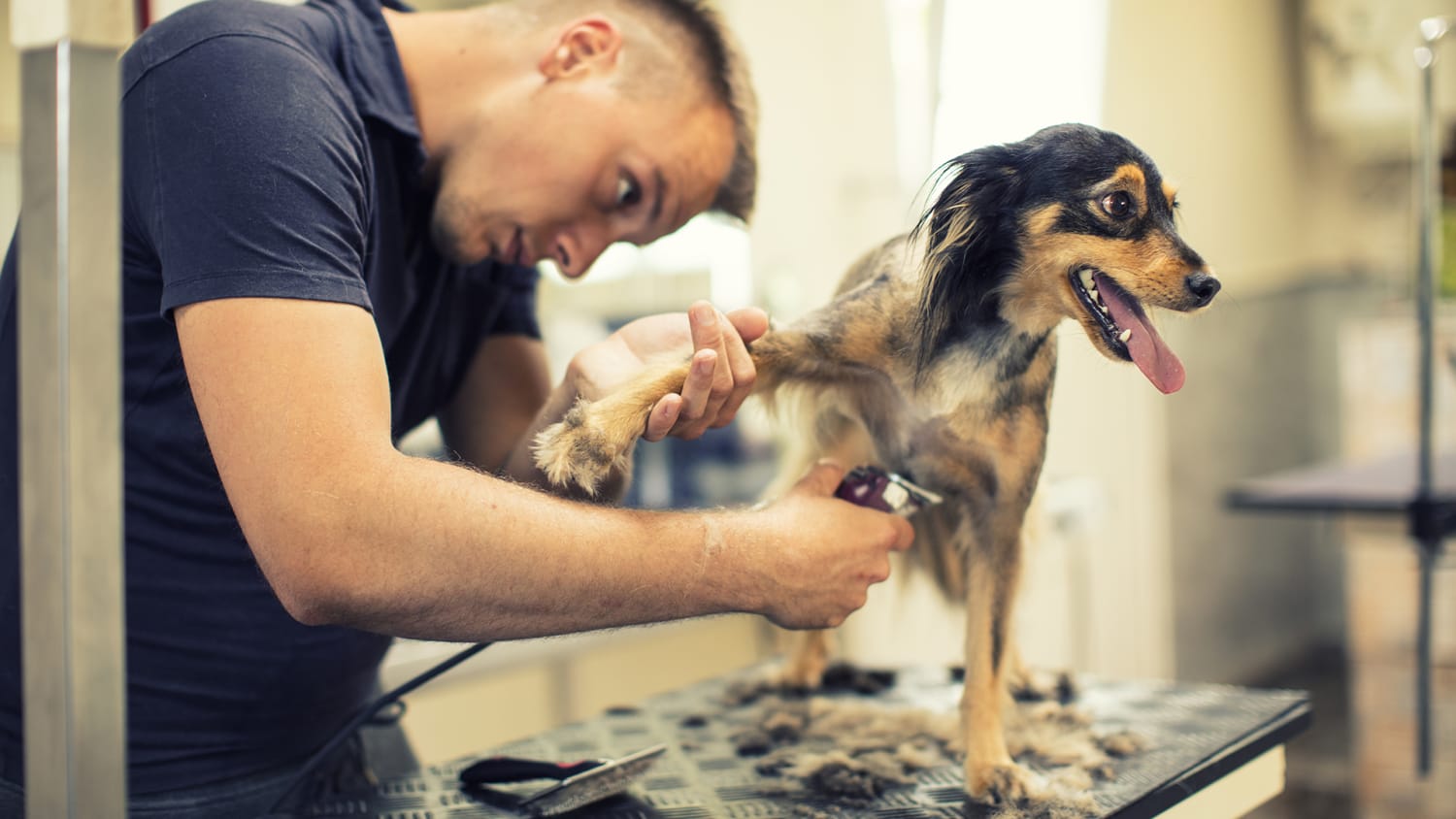 How Much Does A Petsmart Dog Trainer Make