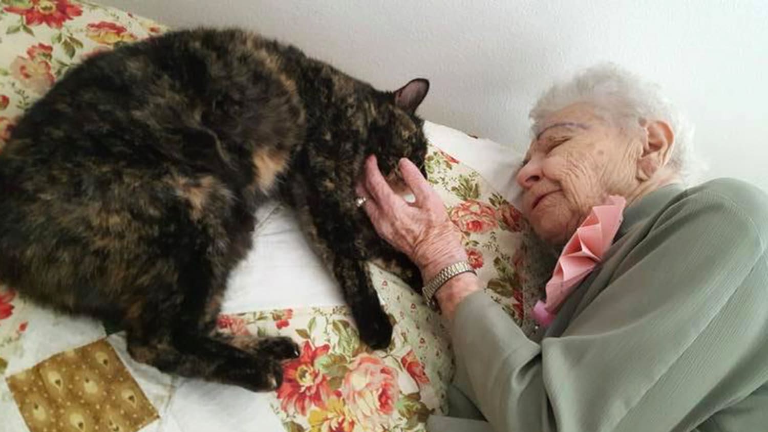 Старый кот и старушка