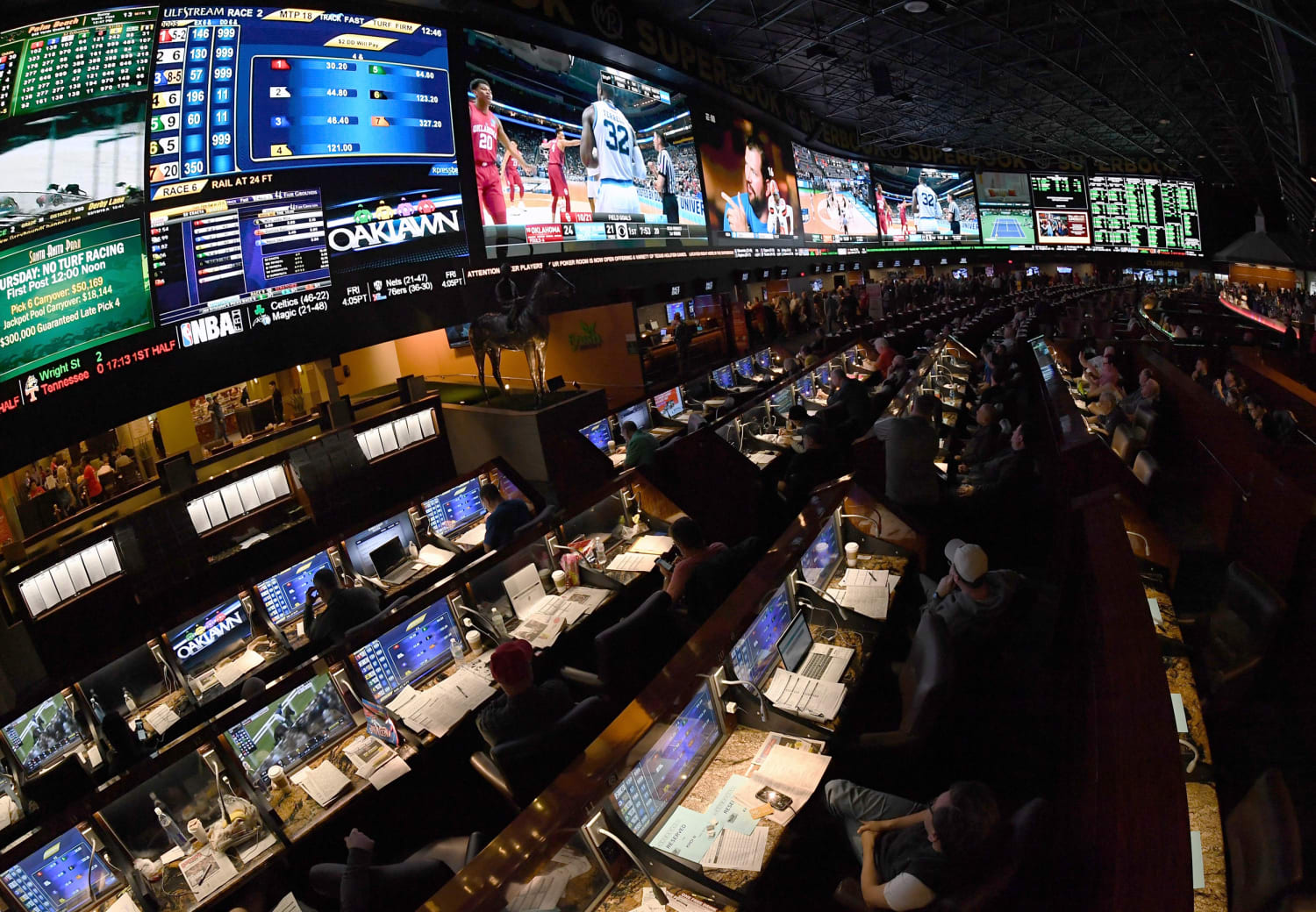 Sports Betting Guide - Everything You Need To Know To Bet