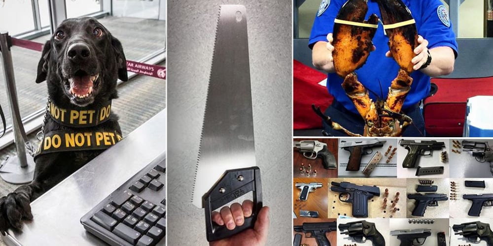 Why the TSA's award-winning Instagram account is hilarious and unexpected