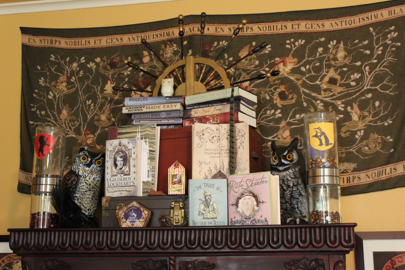 This couple created their own 'Harry Potter' reading room, and