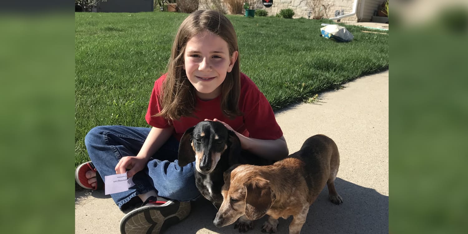 How Old Is 9 Year Old Dog In Doggy Years