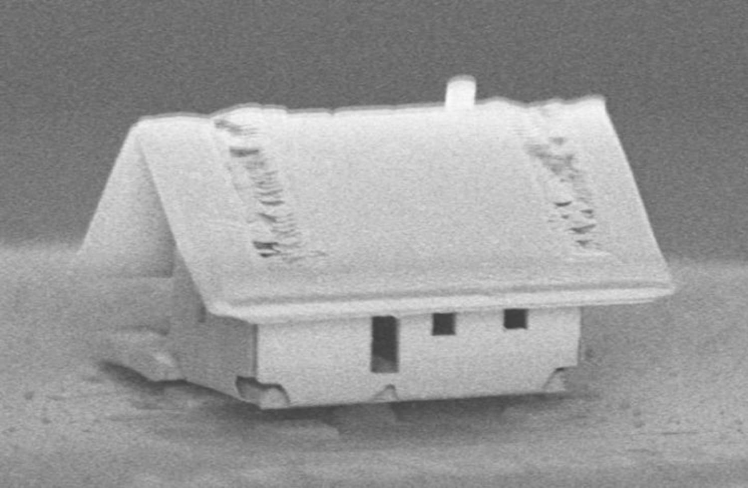 Micro-robots build the world's smallest house 1