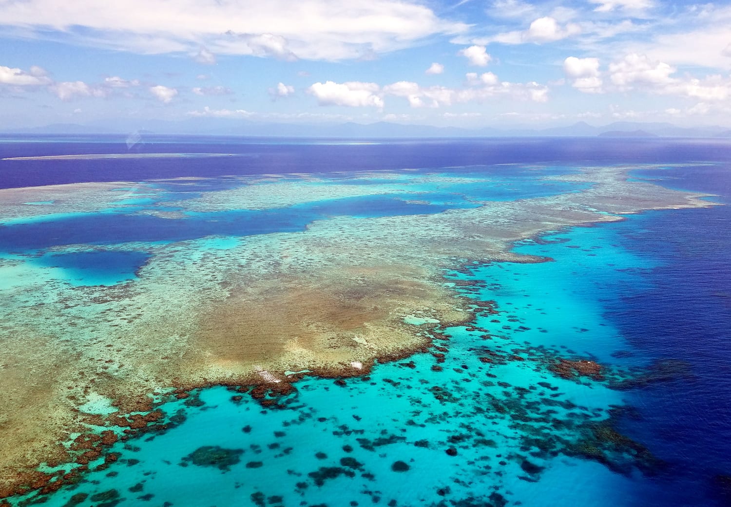 The Great Reef is under assault. It's the time
