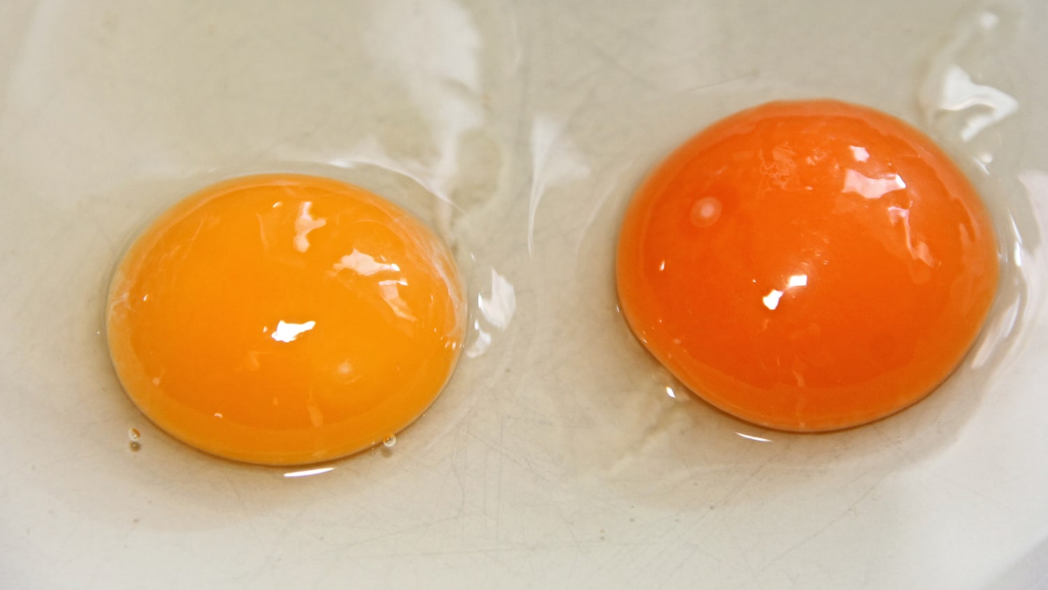 Why are Egg Yolks Different Colors 