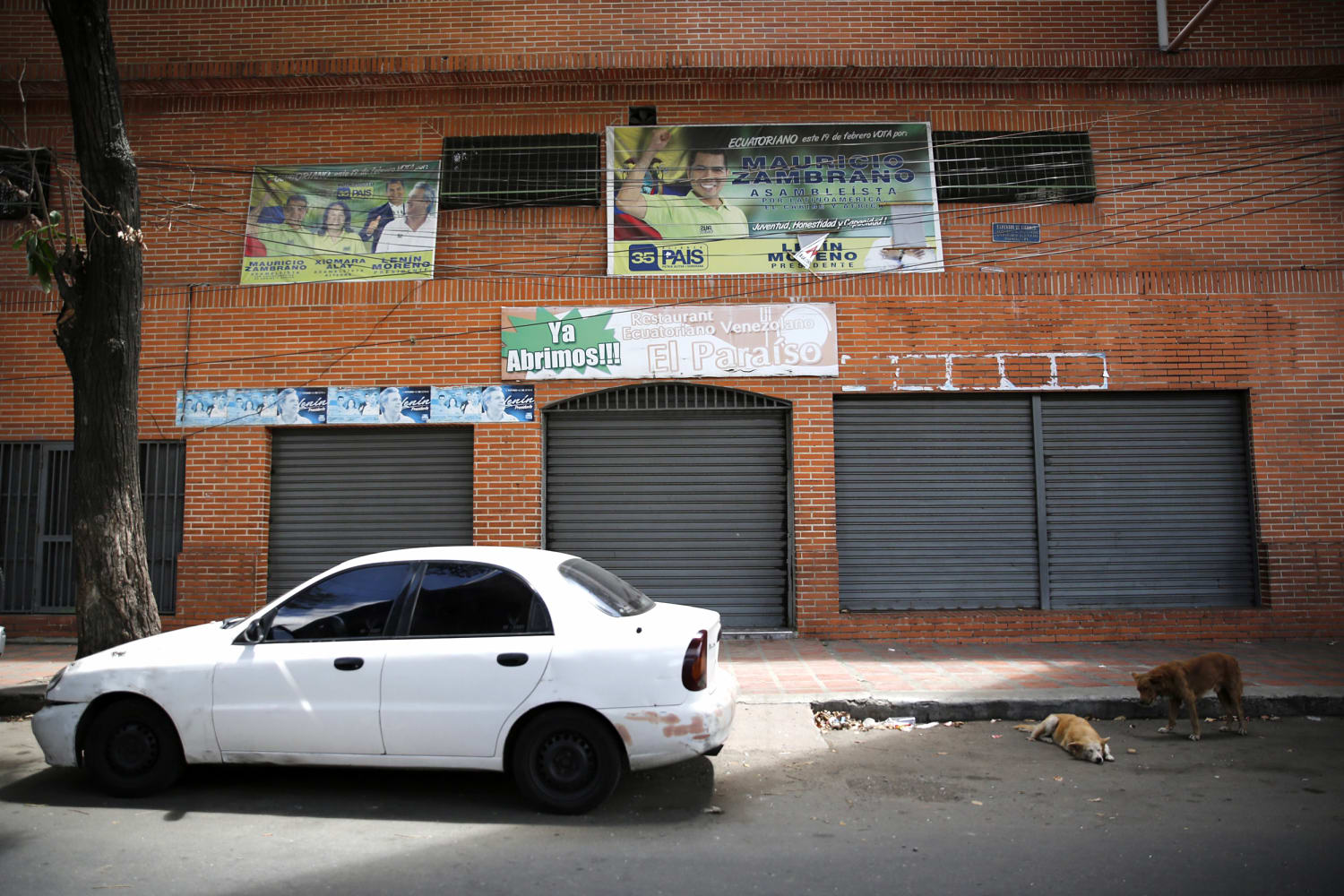 17 killed in stampede after brawl at crowded Caracas club