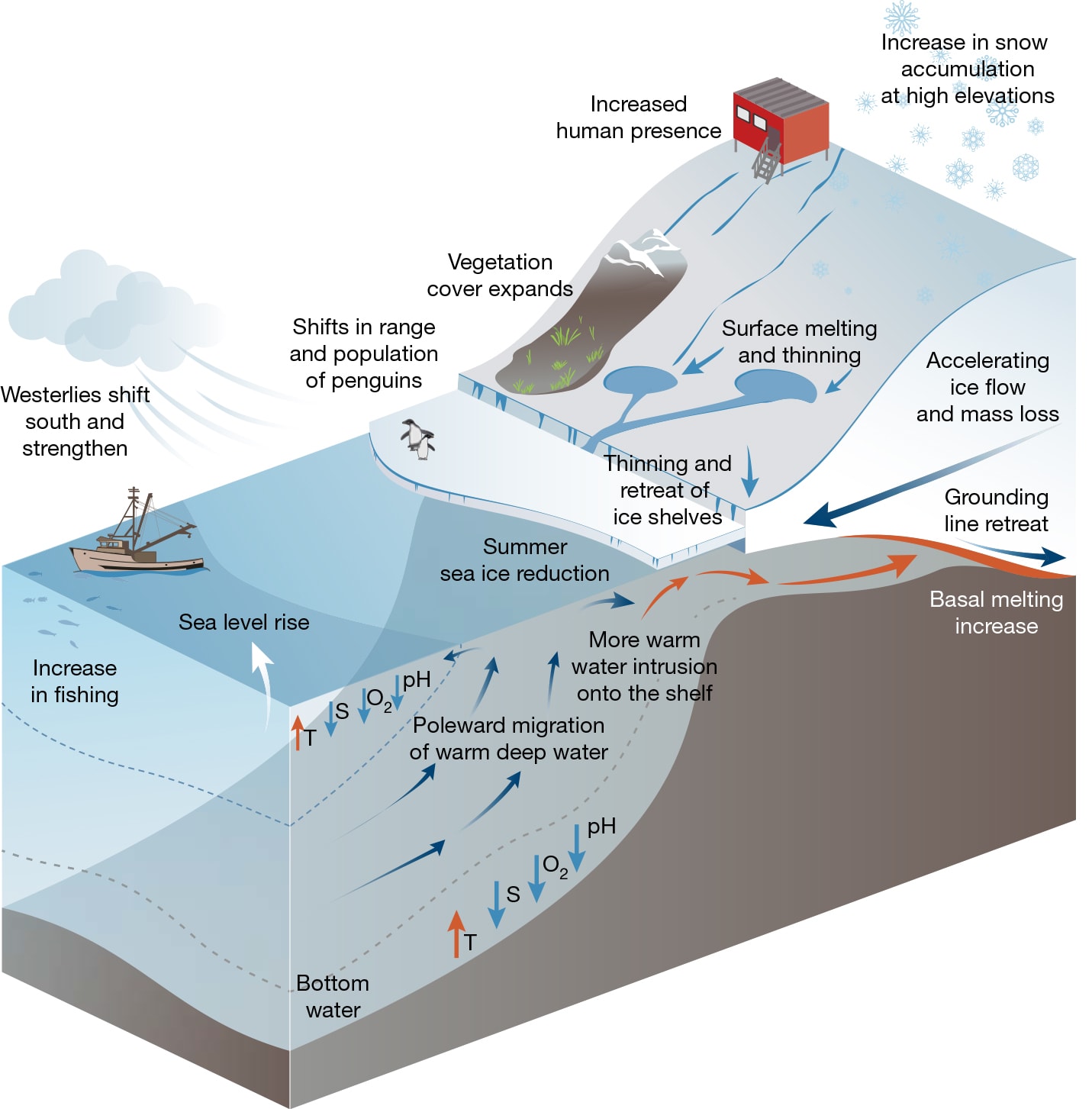 Ice flow in Antarctica changes with season, can impact sea-level rise  estimates