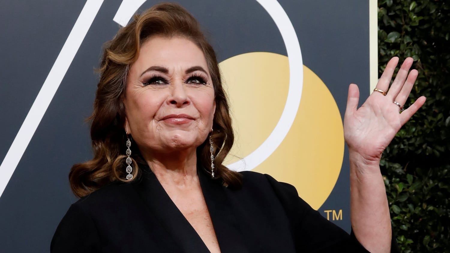 Roseanne Barr reveals she may return to television