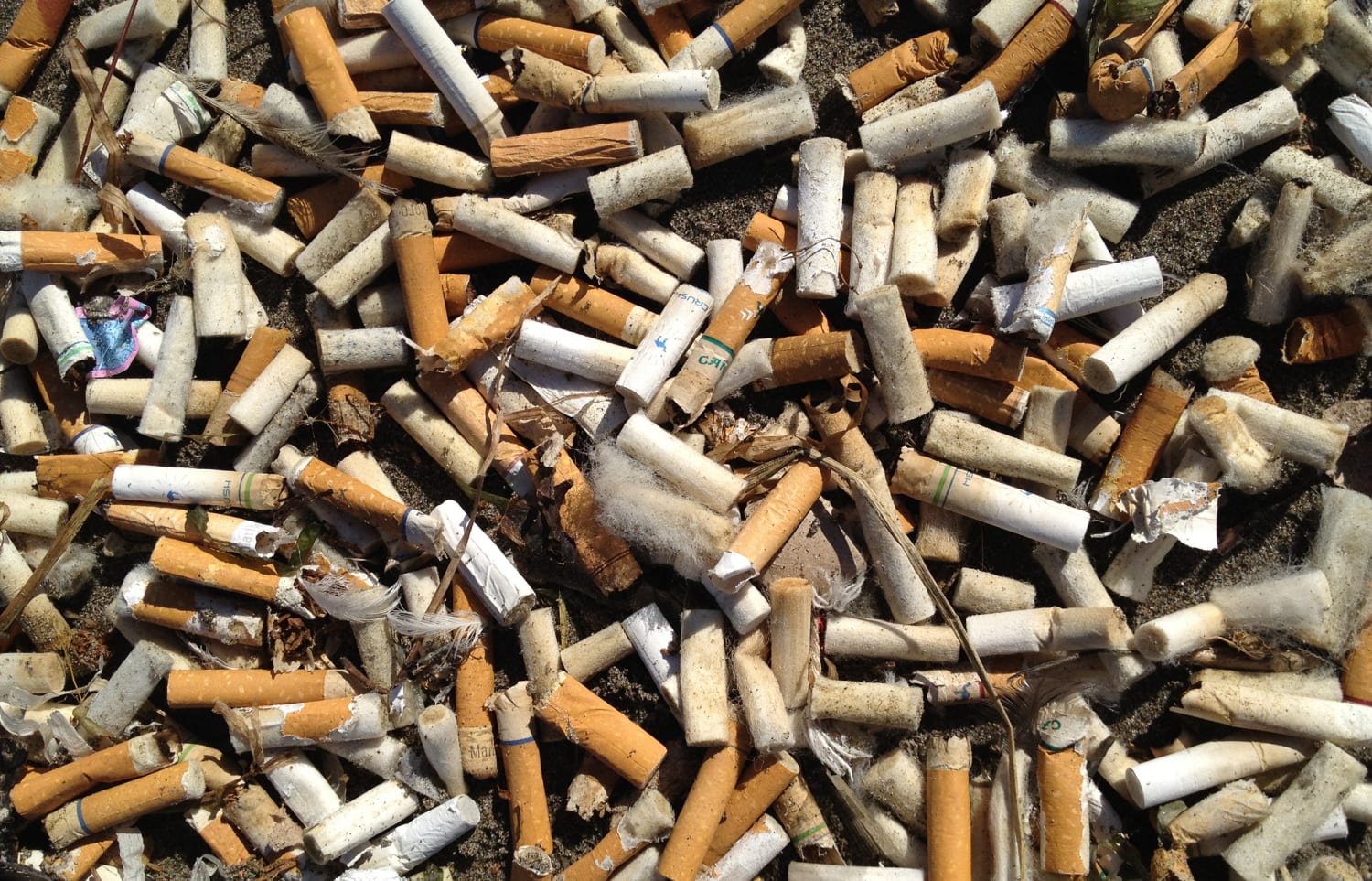 Plastic straw ban? Cigarette butts are the single greatest source