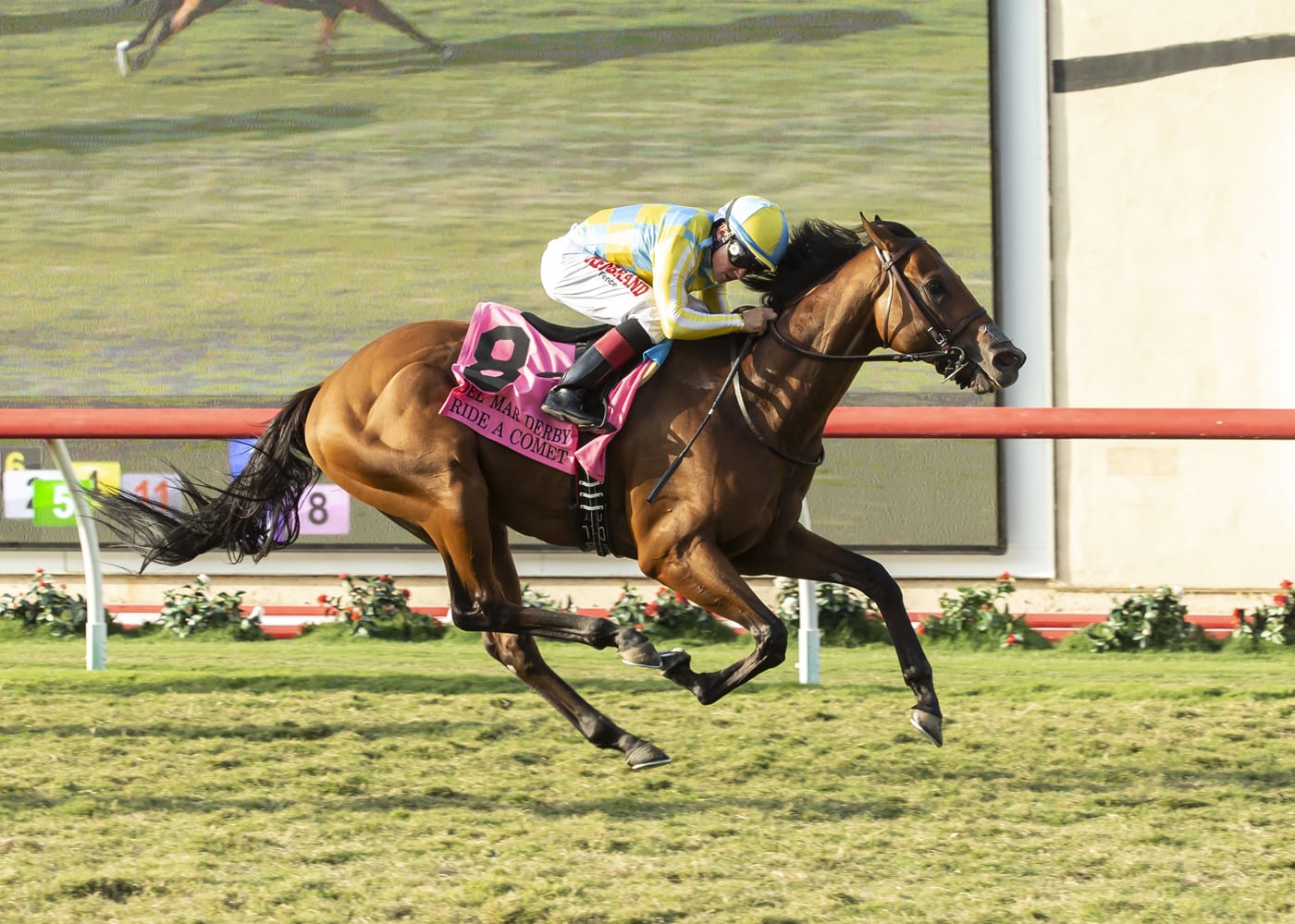 Horse track. Жокей пустыни. Апене скачки. Скачки на воде. Скачки в Ирландии.