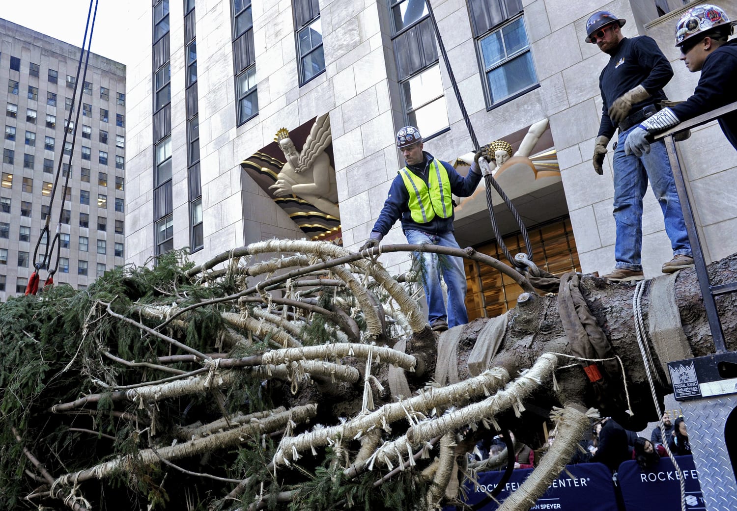 The Rockefeller Christmas Tree's journey from upstate to the plaza