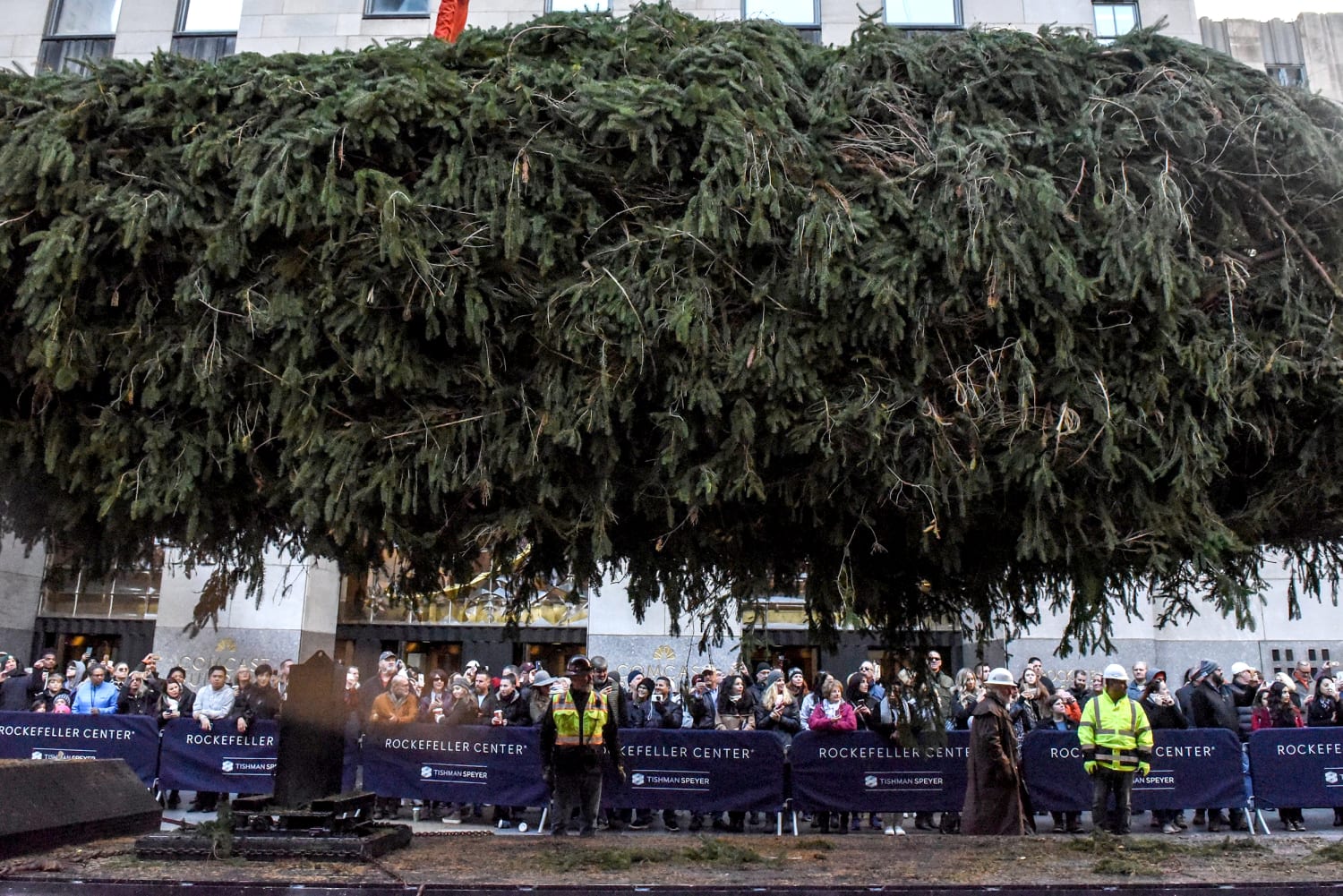 The Rockefeller Christmas Tree's journey from upstate to the plaza