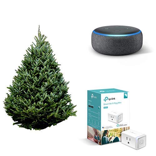 Amazon S Live Christmas Trees Are Available Now Here S How To Buy