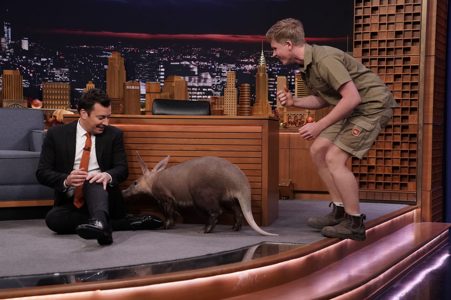 See Jimmy Fallon's hilarious reaction to meeting Robert Irwin's animals