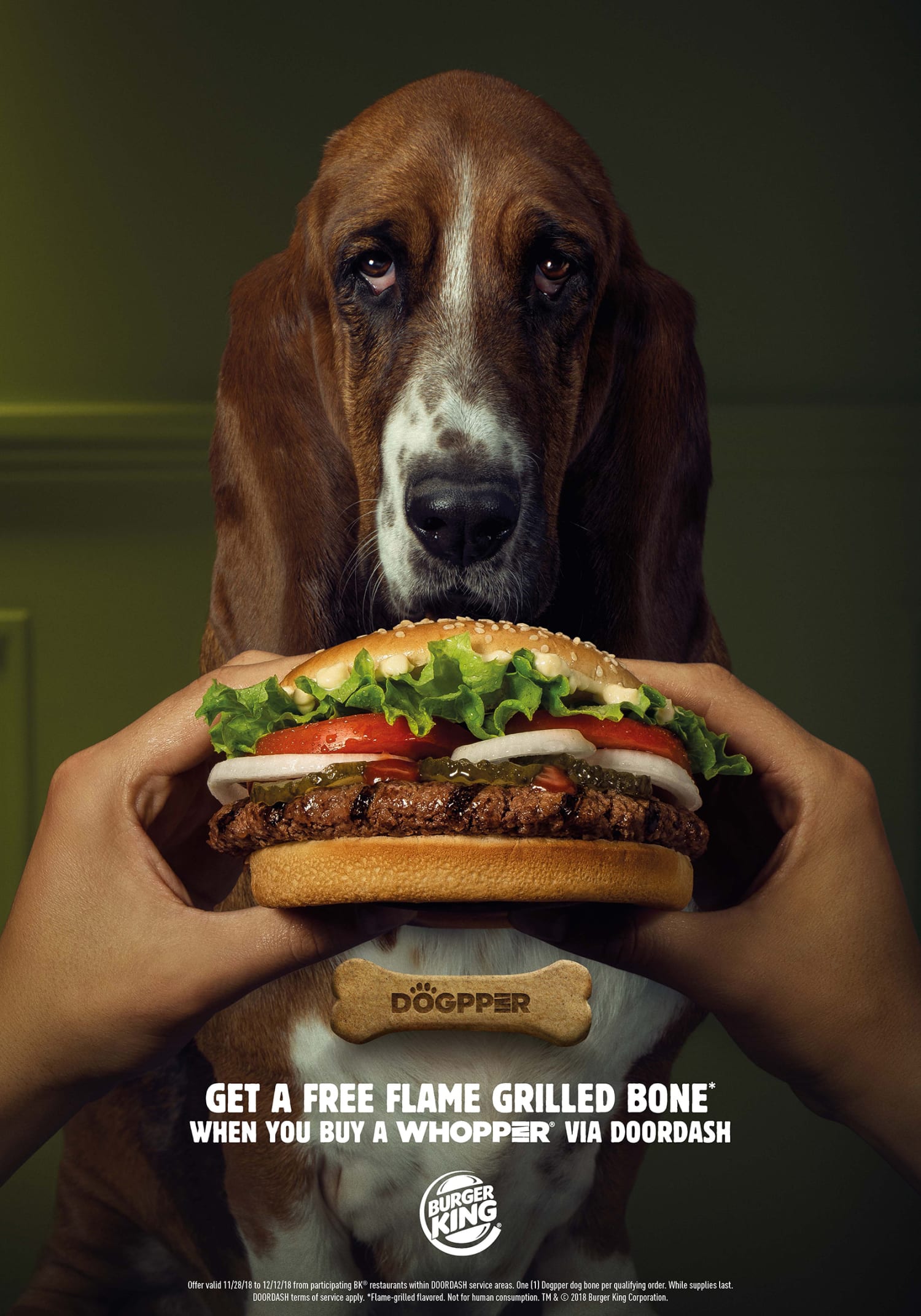 are burger king burgers safe for dogs