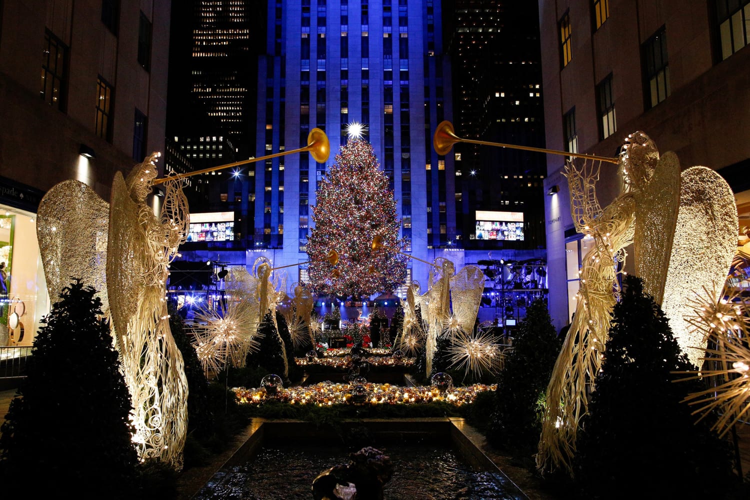 The Rockefeller Christmas Tree's journey from upstate to the plaza
