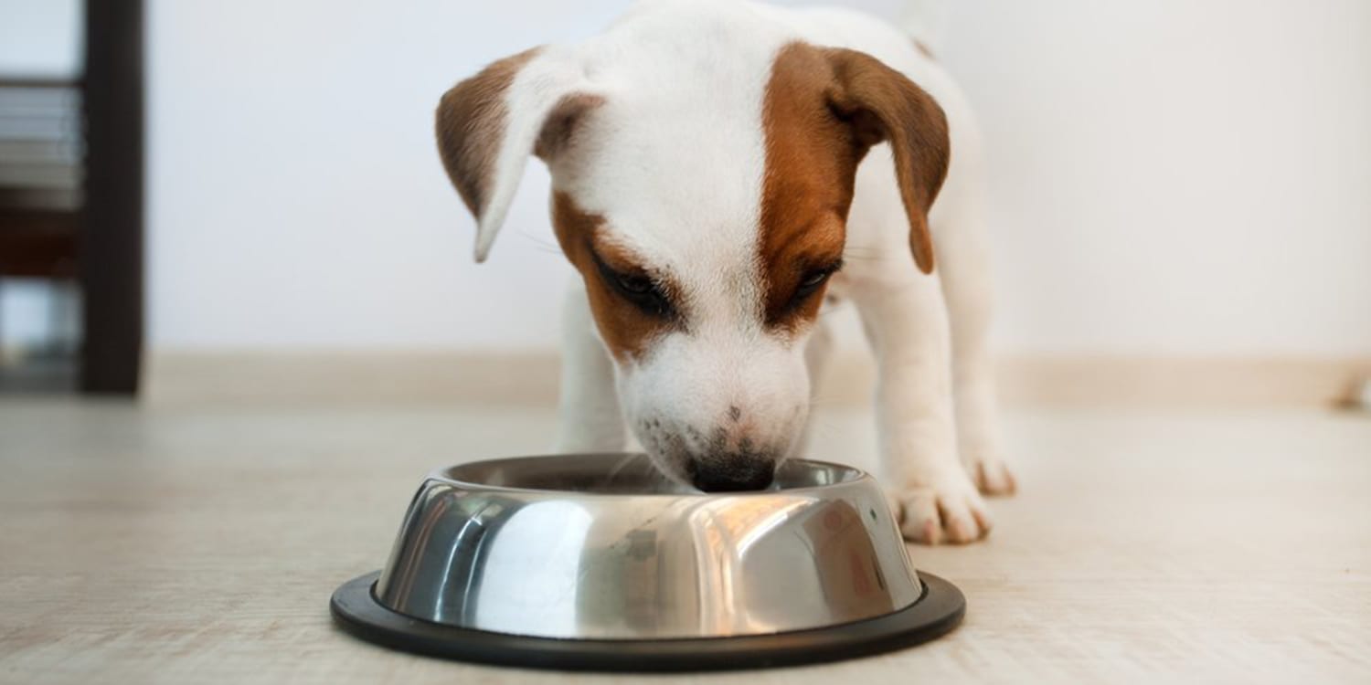 Dog food recalled due to toxic levels of vitamin D