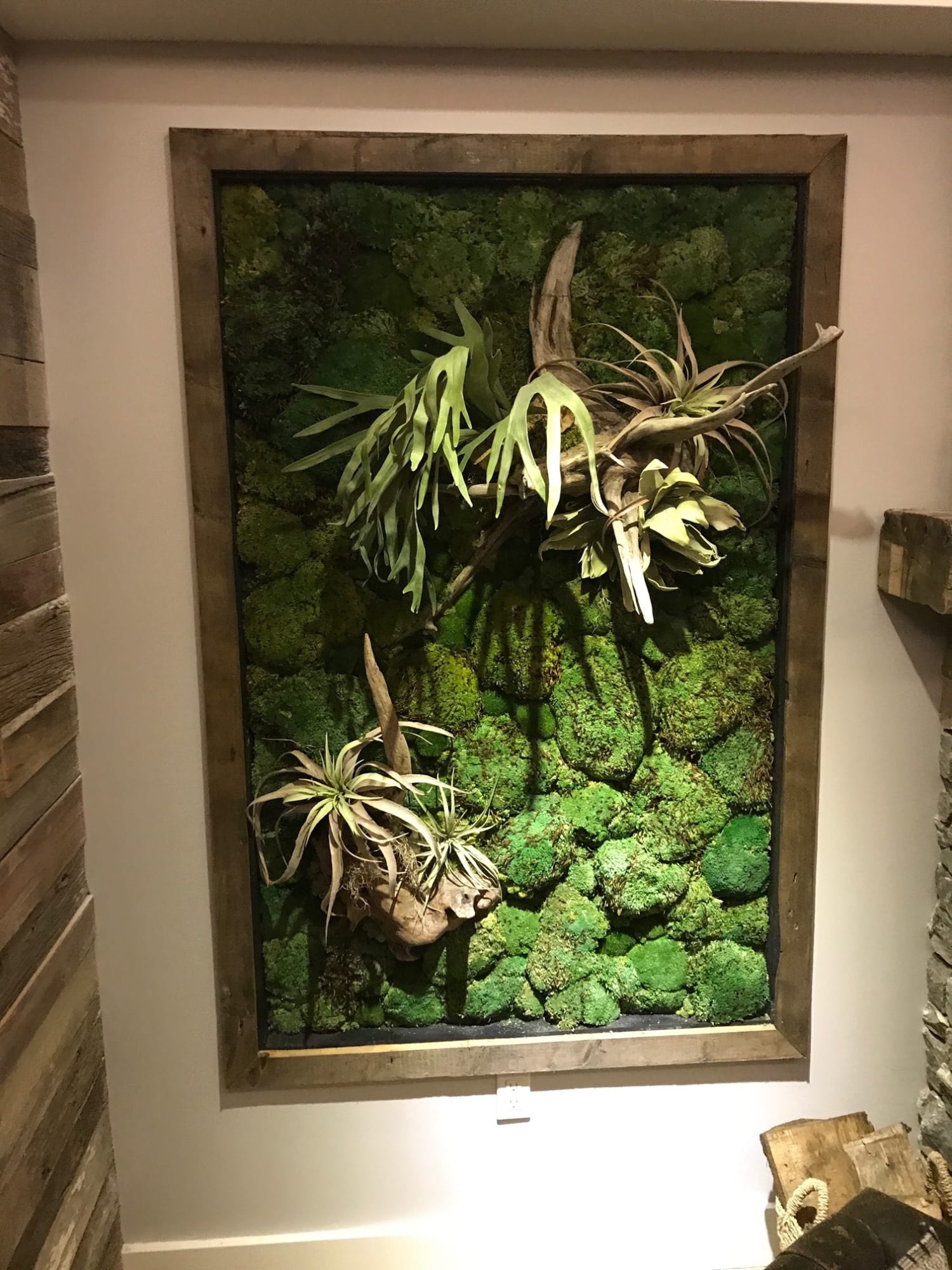 indoor moss wall on How To Create An Indoor Plant Wall For Your Home