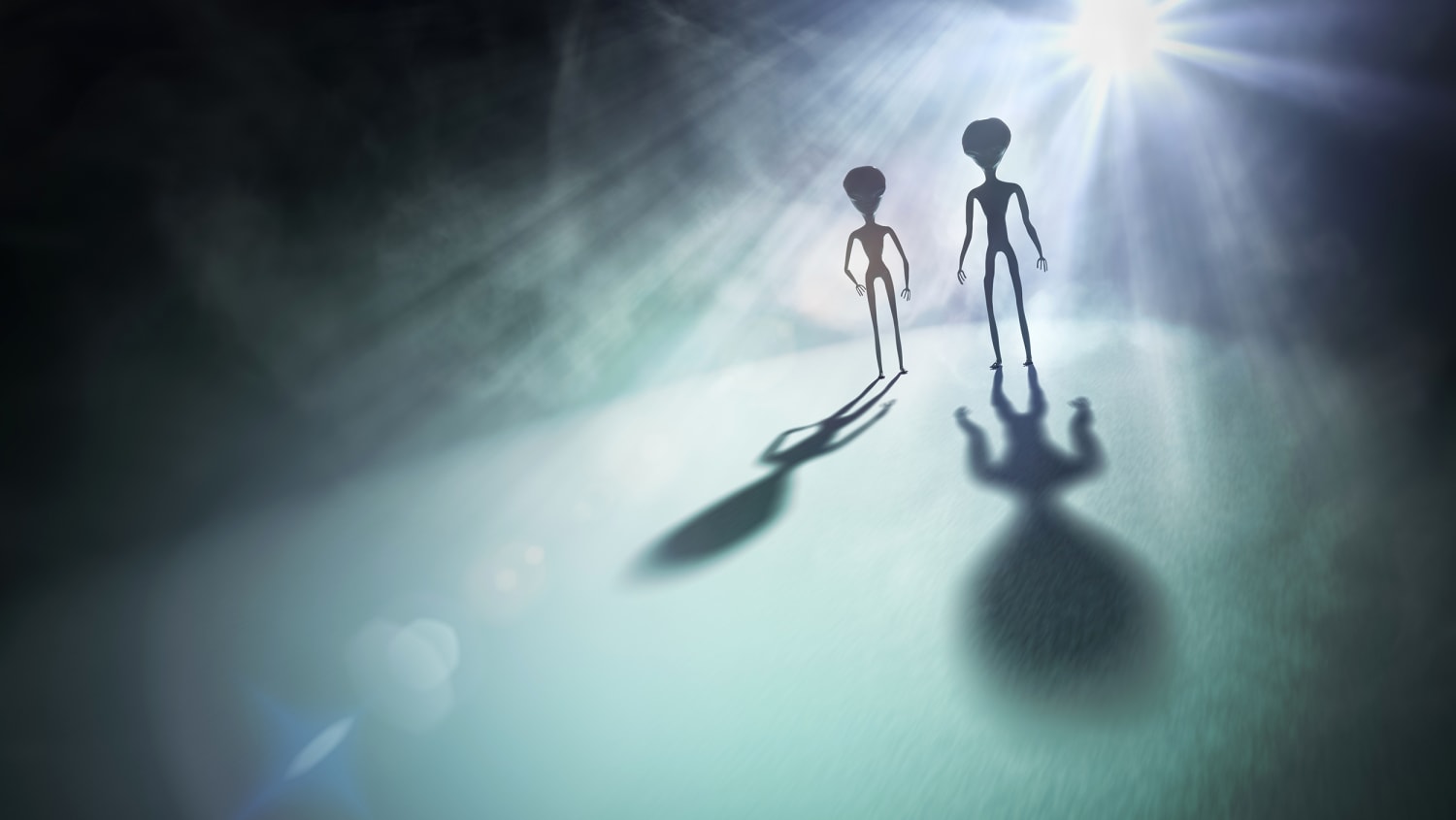 Zoo hypothesis' may explain why we haven't seen any space aliens