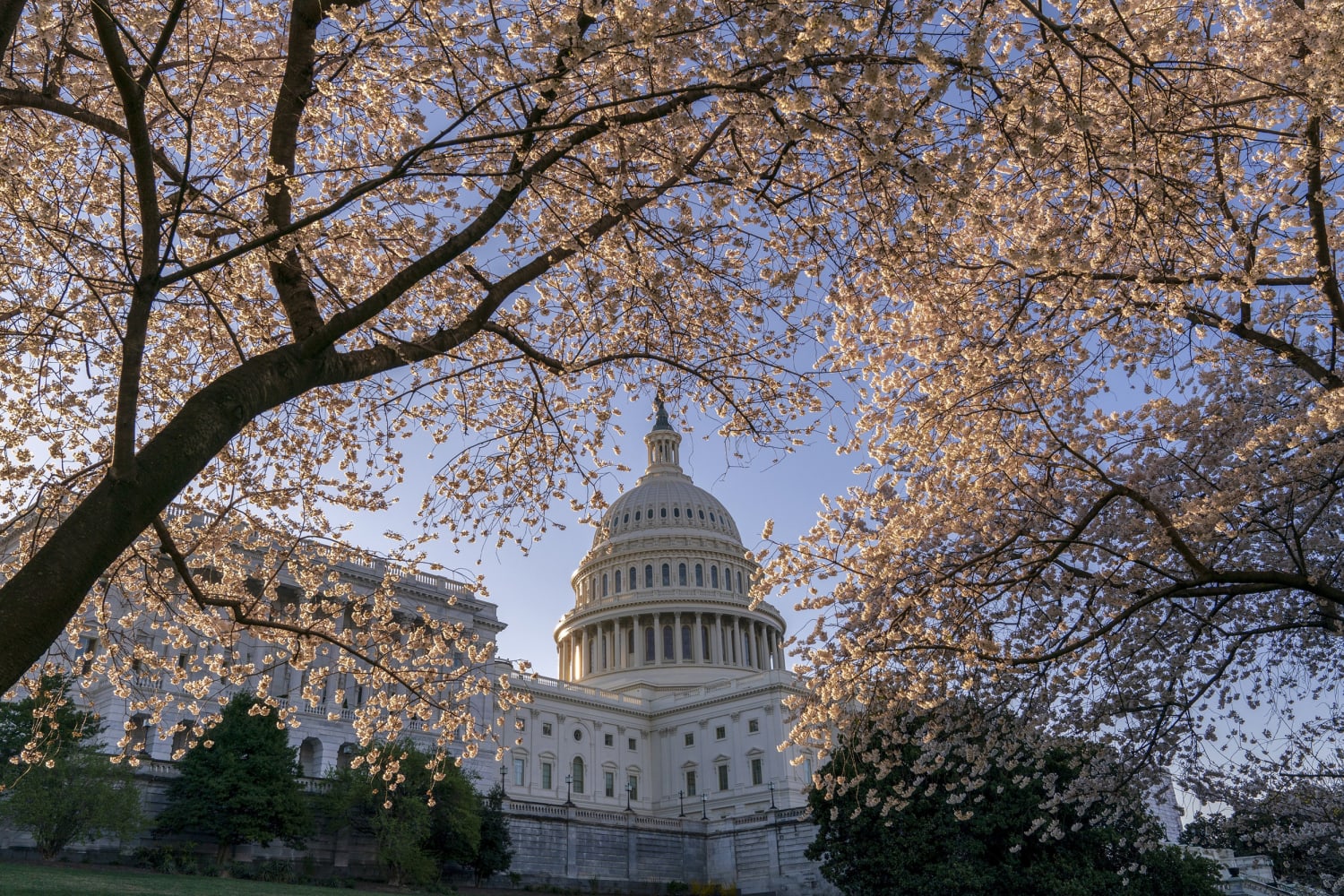 ESPN - Cherry Blossom season in the nation's capital 🌸 Washington