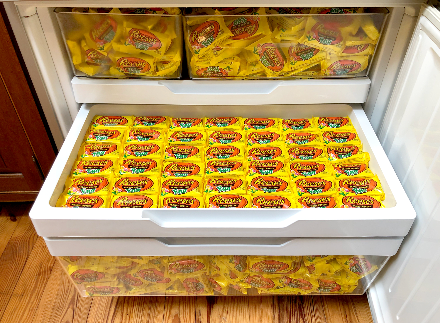 reese's mini fridge