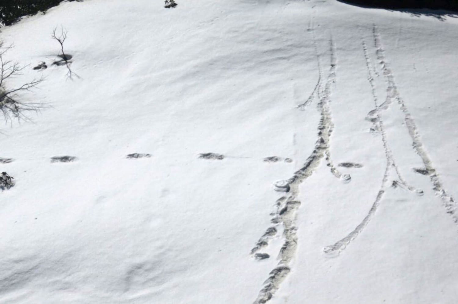 Indian army says it found yeti footprints in the Himalayas