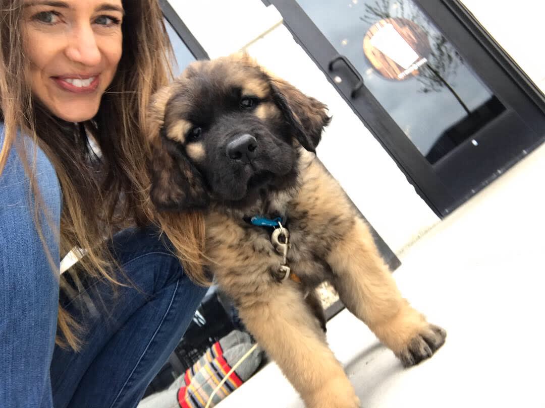 puppy essentials reddit