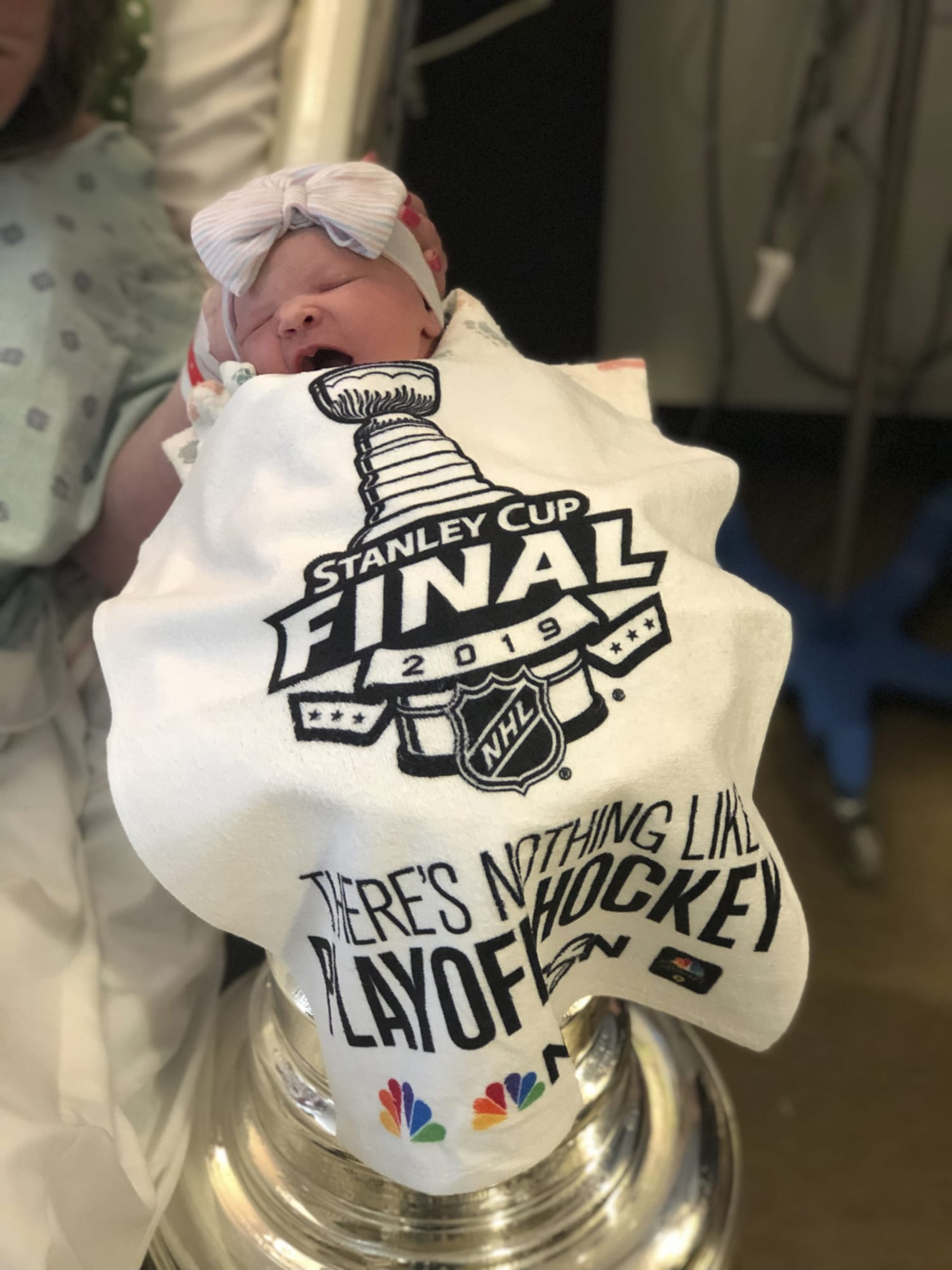  Baby Stanley Cup