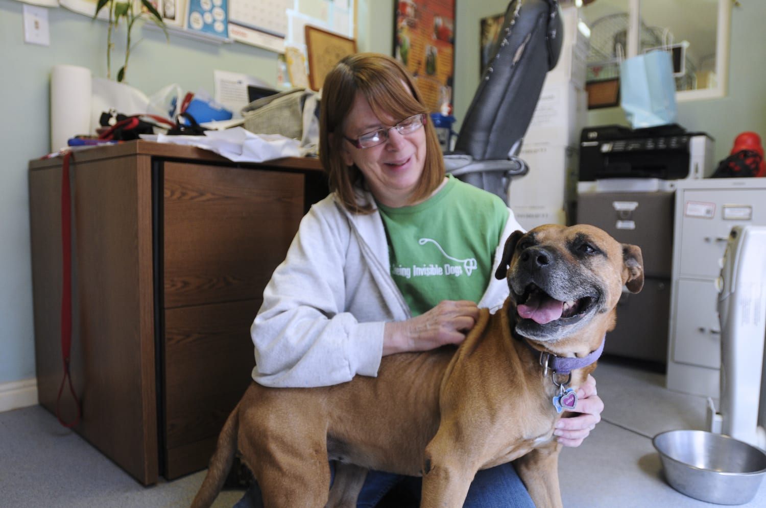 Last Surviving Dog From Michael Vick's Fighting Ring Has Died; Spent Rest  of Life in Comfort