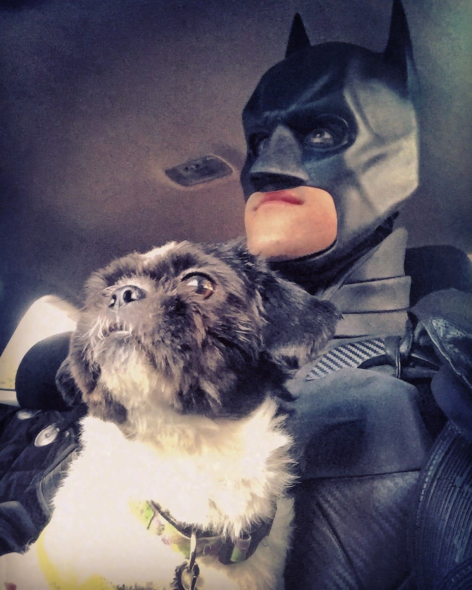 Real-life Batman rescues shelter animals from euthanasia