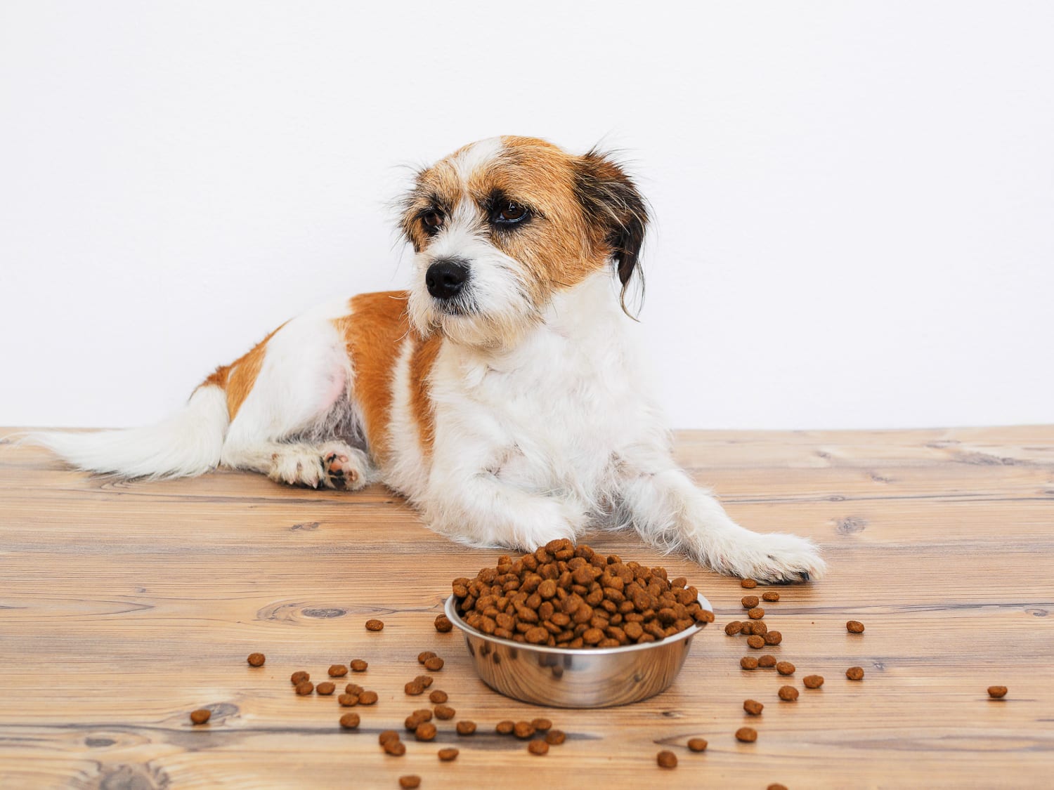 Fda report grain shop free dog food