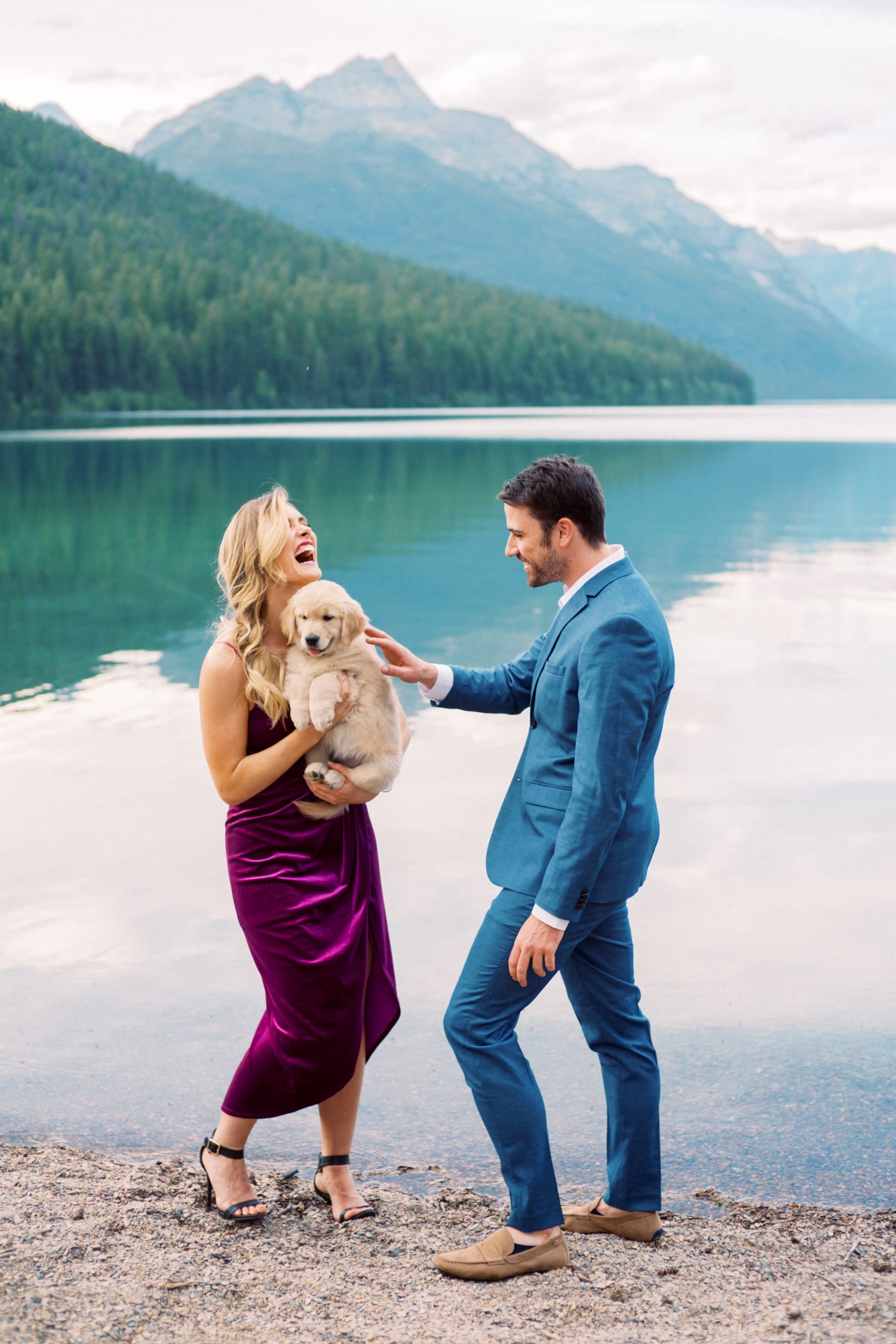 Golden Retriever Puppy Makes Marriage Proposal Picture-Perfect