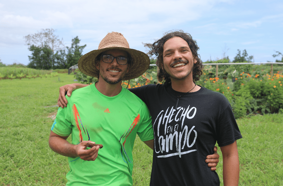 tobacco farm puerto rico Artisanal tobacco industry shows sparks of potential in Puerto Rico