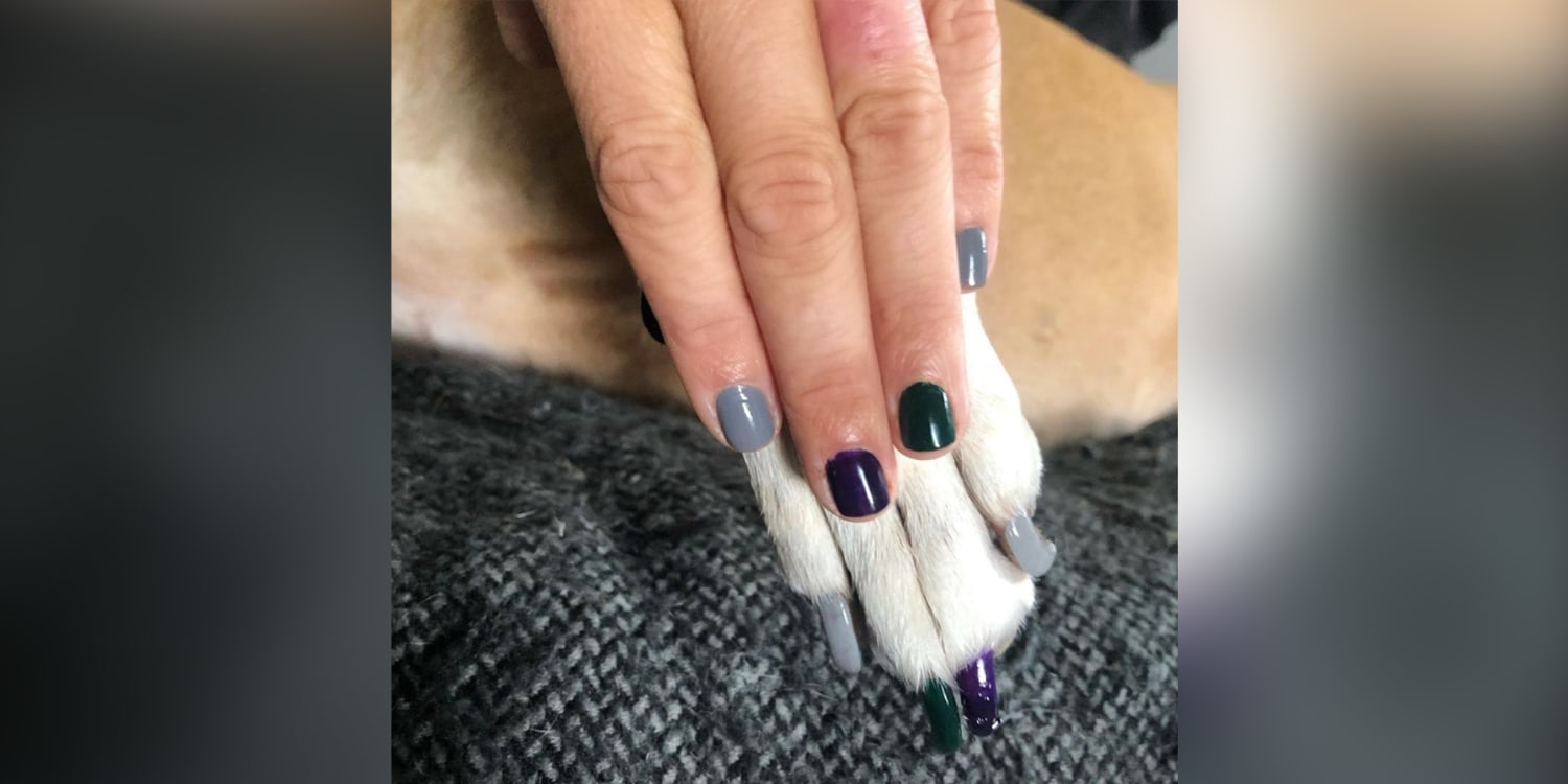 Pawdicures are a thing! People are wearing matching nail polish with their dogs Pawdicures are a thing! People are wearing matching nail polish with their dogs