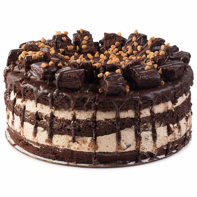 Chocolate Mousse Cake 1.4kg | HastyCart