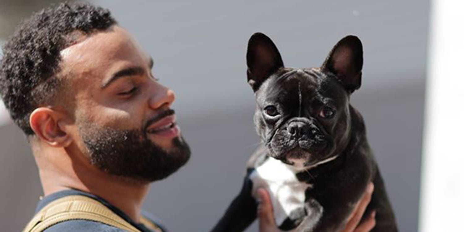 49ers Frenchie, NFL's First Emotional Support Dog, Assists Players And  Staff - CBS San Francisco