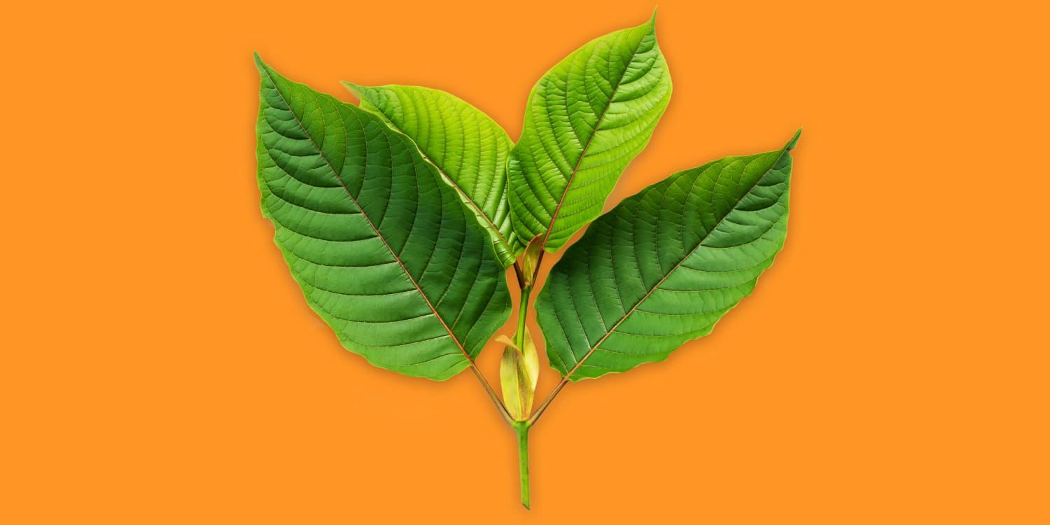What is kratom? The popular herbal supplement has caught flak from the FDA