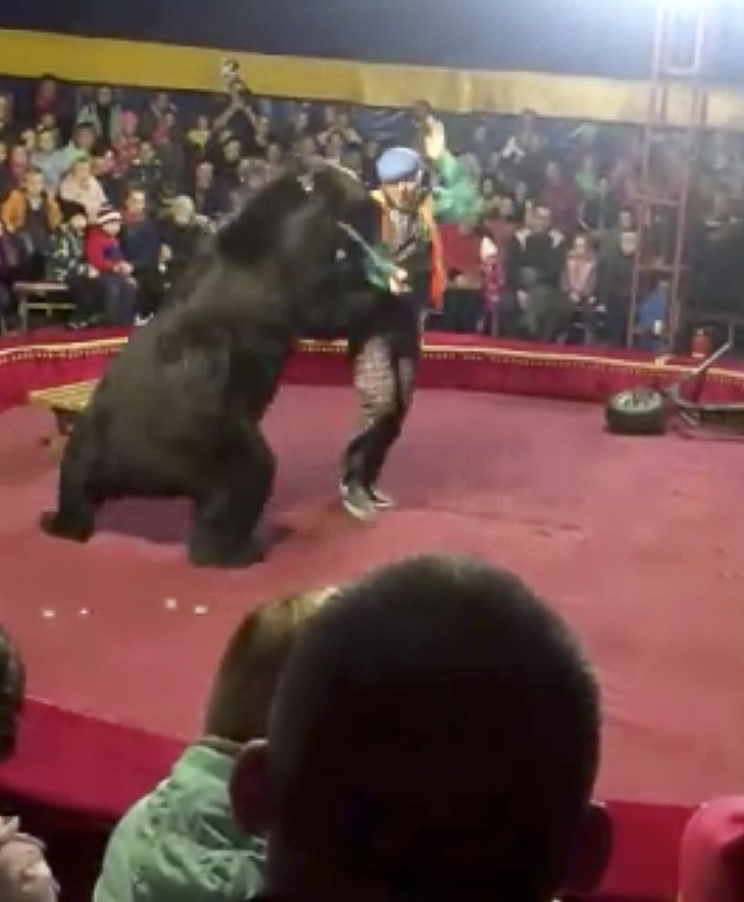 A panic started' after bear at Russian circus attacks trainer