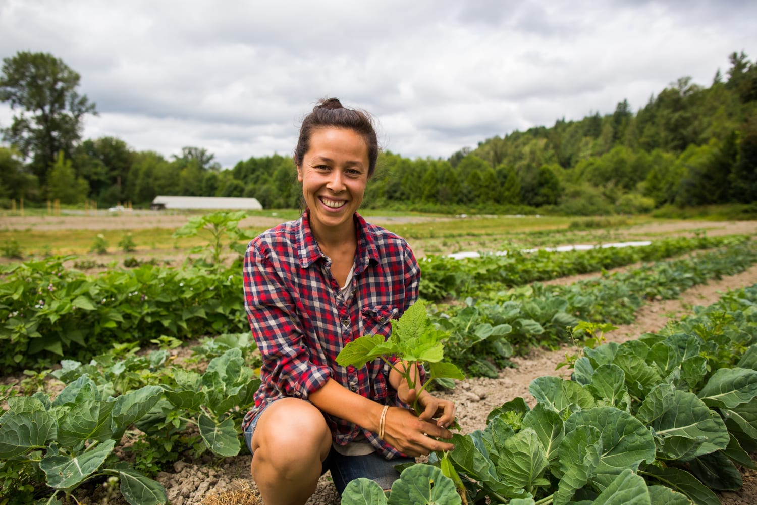 Young Asian Americans turn to farming as a means of cultural reclamation