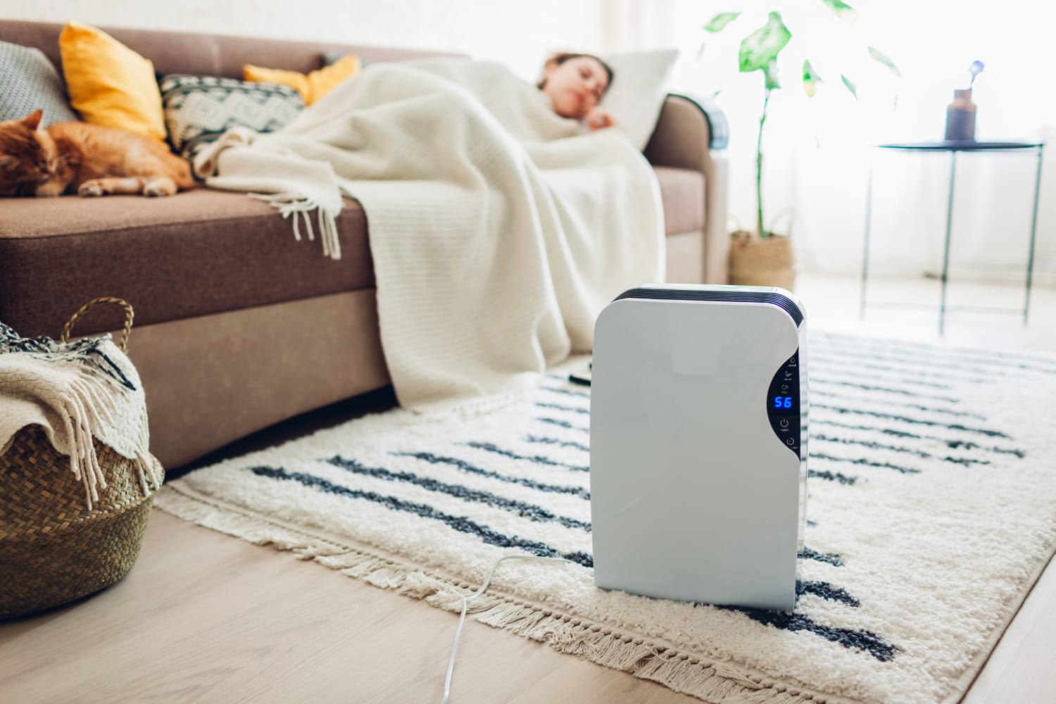 How to pick the best air purifier, according to doctors and experts