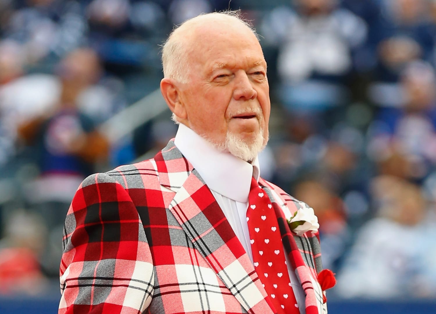 Hockey commentator Don Cherry fired for calling immigrants you people on air