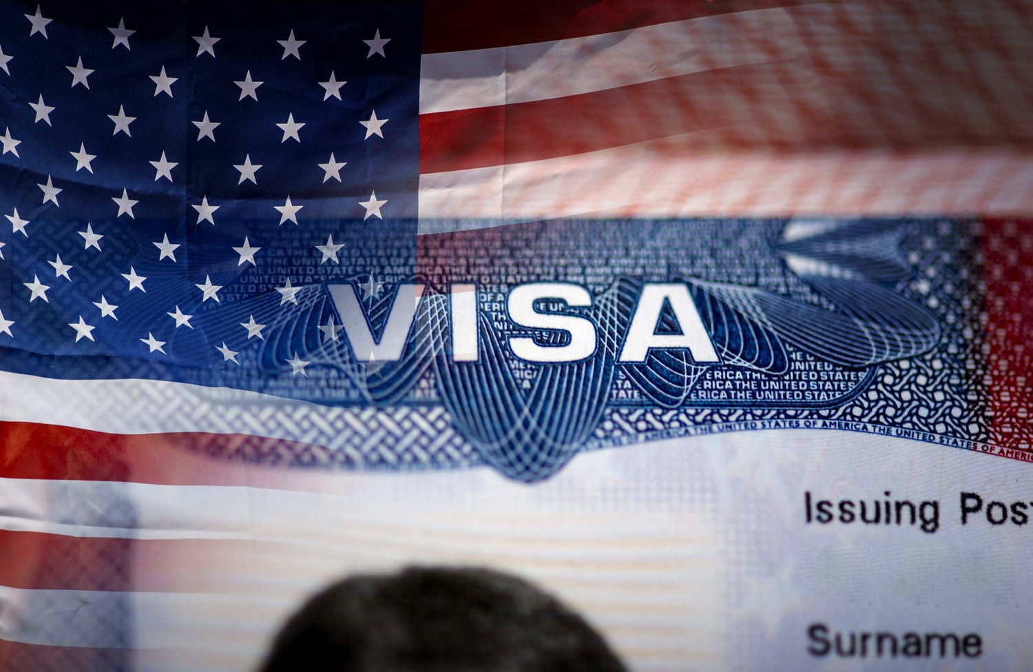 Visa американская