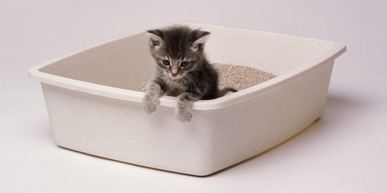 Good mews clearance cat litter