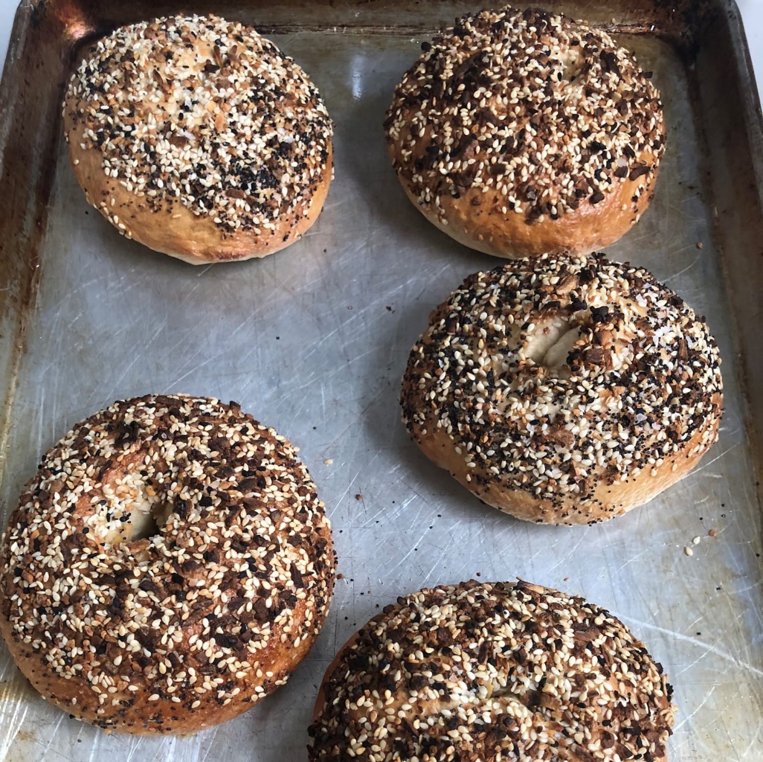 New York Style Bagels Recipe