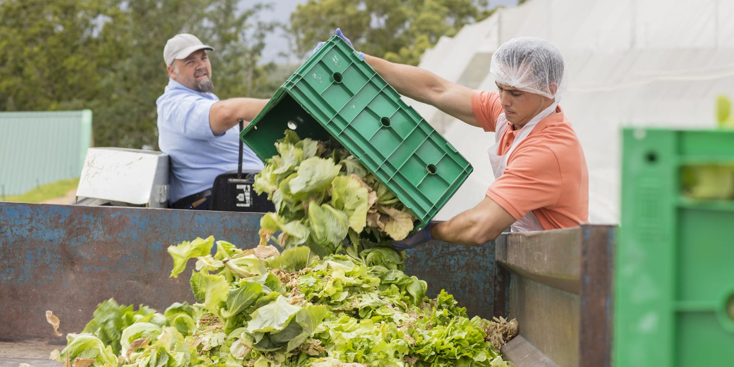 Why farmers are throwing away food amid rising demand for food