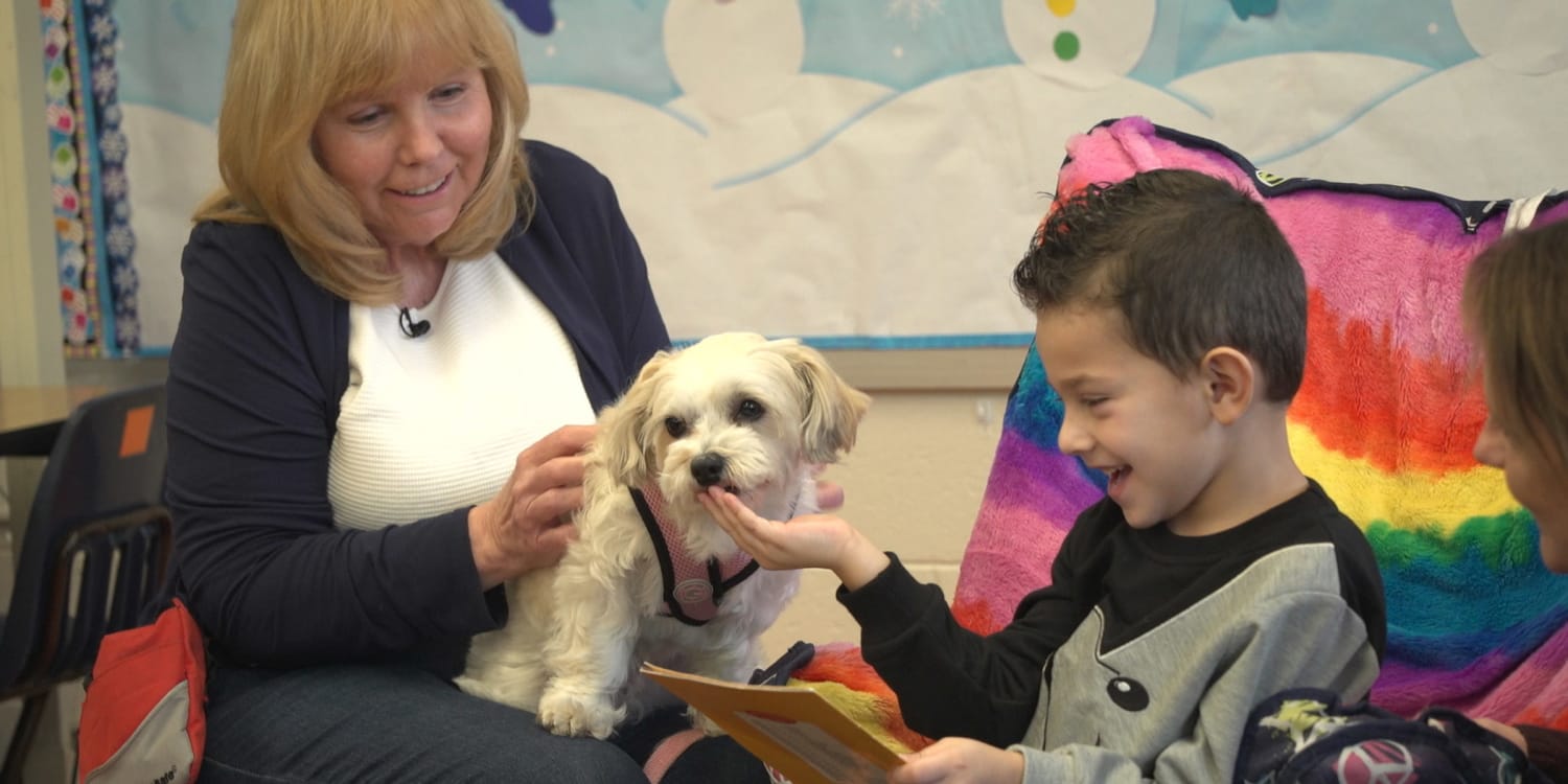 Therapy dogs bring joy, ease anxiety for kids, senior citizens