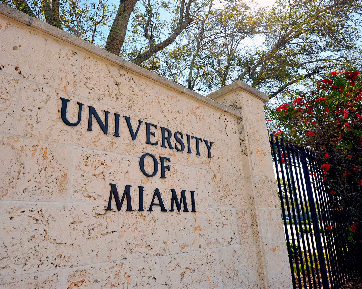 2500px x 2000px - University of Miami professor resigns after reportedly sharing porn  bookmark on Zoom