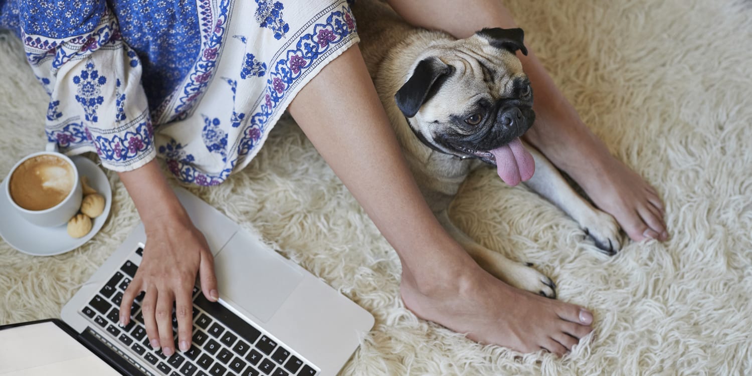 Working from home? Here's some of our favorite things to help