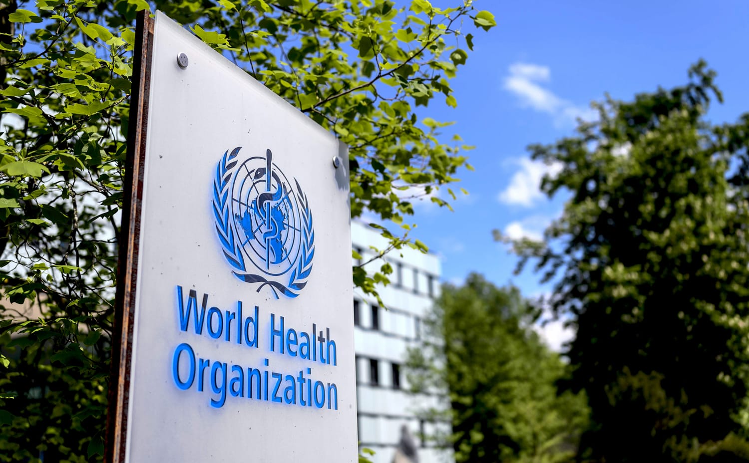 65 Covid cases reported in WHO staff based at Geneva headquarters