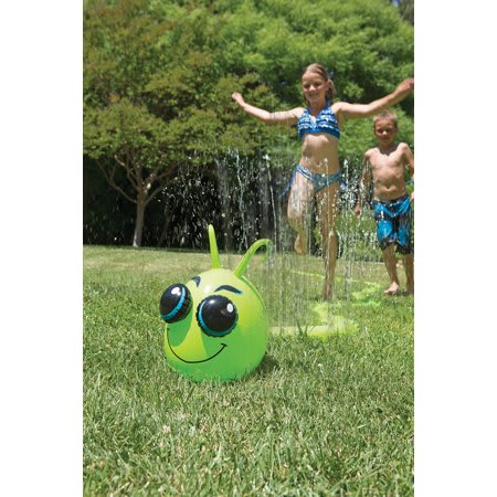 water weasel hose toy